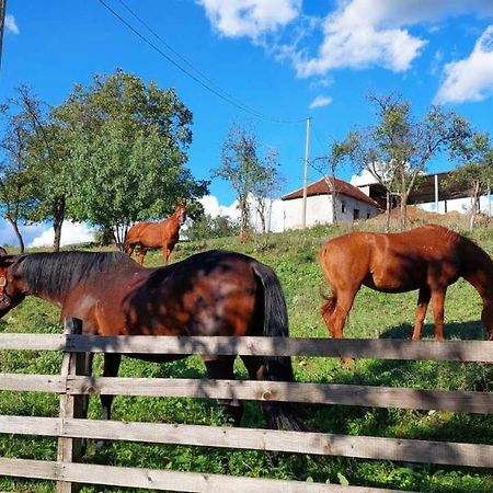 Poljoprivredno Turisticko Domacinstvo Deguric Daire Valjevo Dış mekan fotoğraf