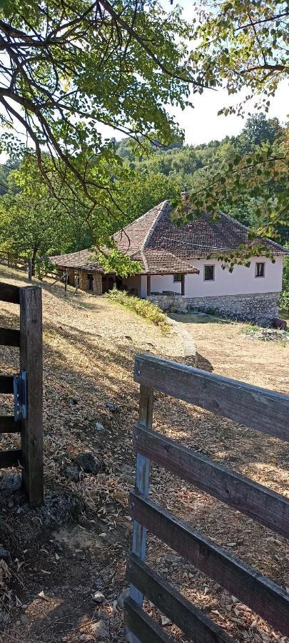 Poljoprivredno Turisticko Domacinstvo Deguric Daire Valjevo Dış mekan fotoğraf