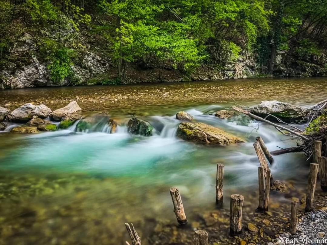 Poljoprivredno Turisticko Domacinstvo Deguric Daire Valjevo Dış mekan fotoğraf