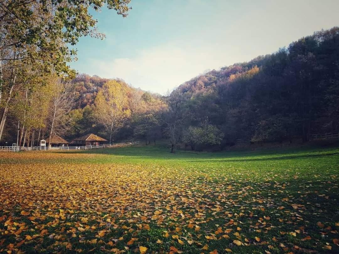 Poljoprivredno Turisticko Domacinstvo Deguric Daire Valjevo Dış mekan fotoğraf