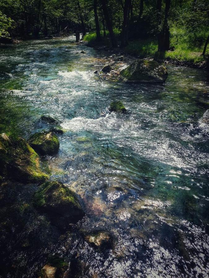 Poljoprivredno Turisticko Domacinstvo Deguric Daire Valjevo Dış mekan fotoğraf