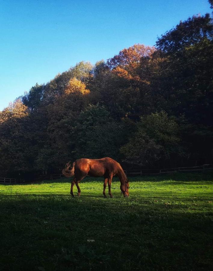 Poljoprivredno Turisticko Domacinstvo Deguric Daire Valjevo Dış mekan fotoğraf