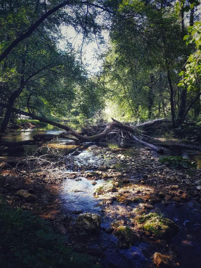 Poljoprivredno Turisticko Domacinstvo Deguric Daire Valjevo Dış mekan fotoğraf